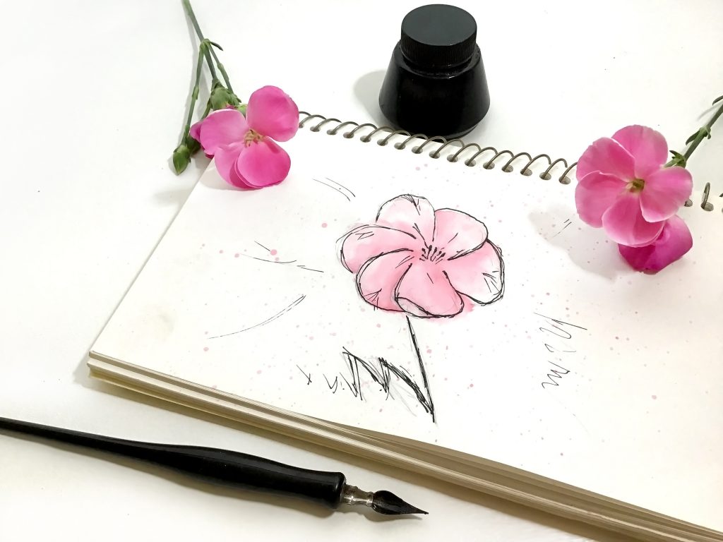 Picture of a sketchbook with a flower drawn in ink and painted in pink watercolor with actual flowers on the corners of the book. Quill and ink also in photo. White background. Become a Member to the Best Stock Photography Site, SwankyStock -- Get access to photos and art and other digital design assets.