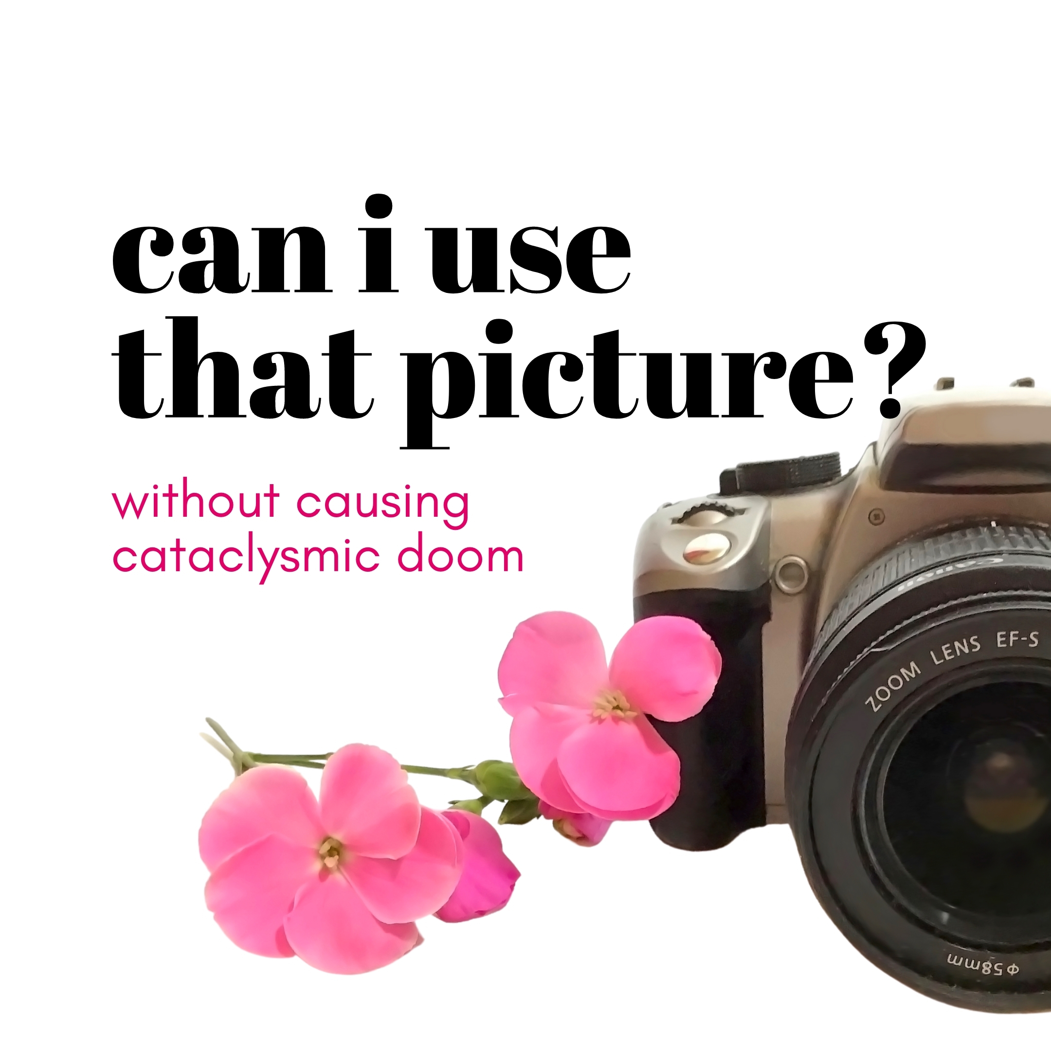 Can I Use that Picture? Photo of a camera with pink flowers on a white background.