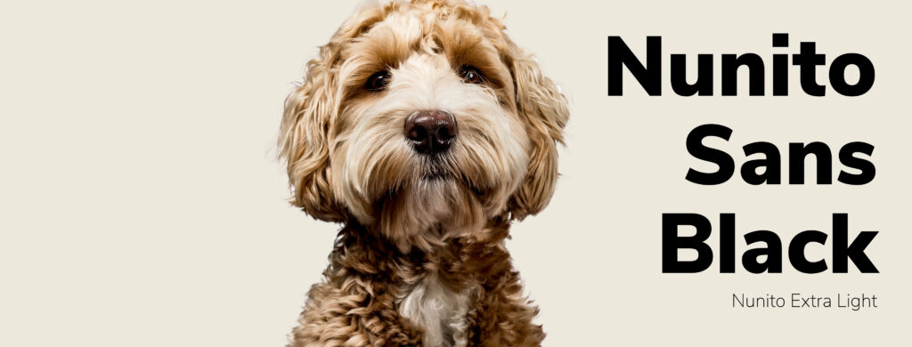 Photo of brown puppy on a tan background