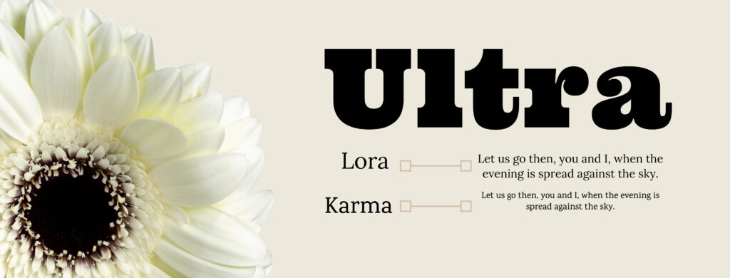 white flower on a tan background