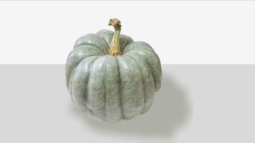 Green Pumpkin on Gray Background to show a method to apply a drop shadow to an image in Canva. 