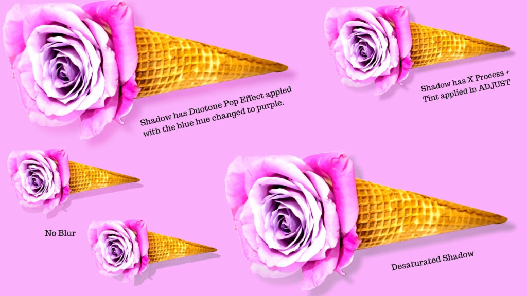 Pink Rose cones on pink background to show various methods to apply a drop shadow to an image in Canva. 