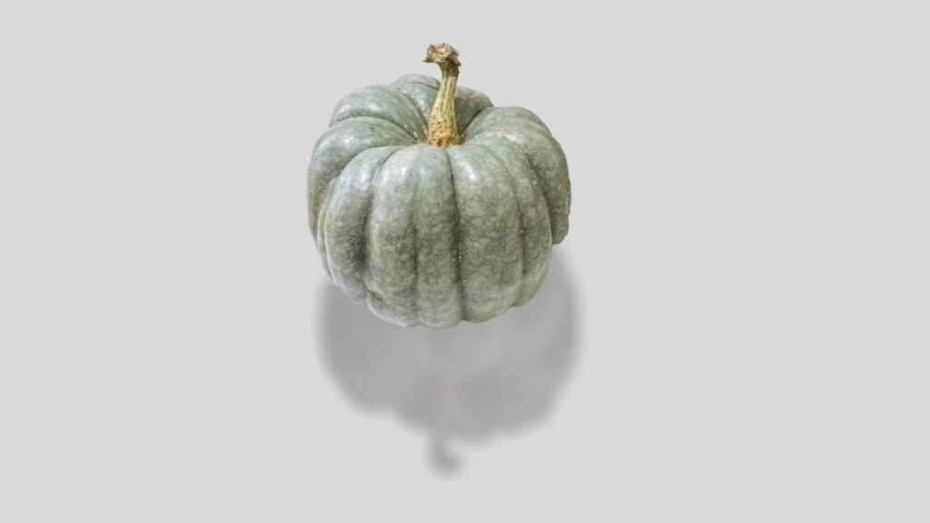 Green Pumpkin on Gray Background to show a method to apply a drop shadow to an image in Canva. 