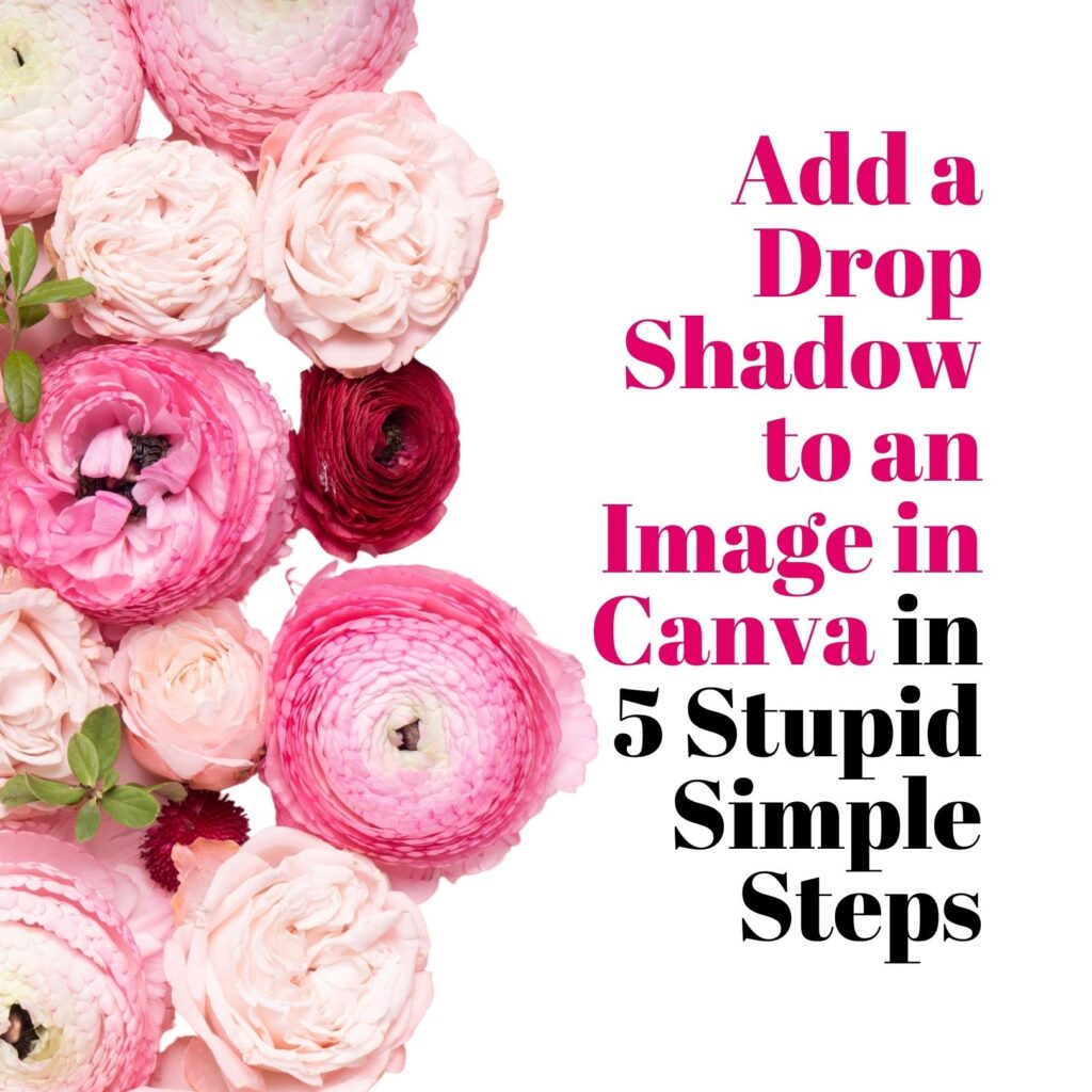 Canva Tutorial to add a drop shadow to an image in Canva... in 5 stupid simple steps. Photography and Lighting are discussed with various methods of applying a drop shadow to a photo.