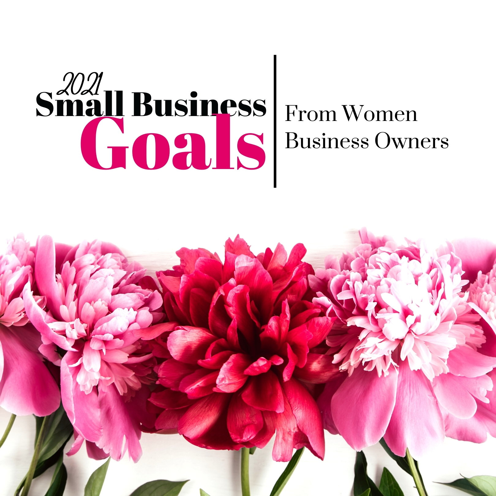What other women are doing for their Small Business Goals and Annual Biz Planning