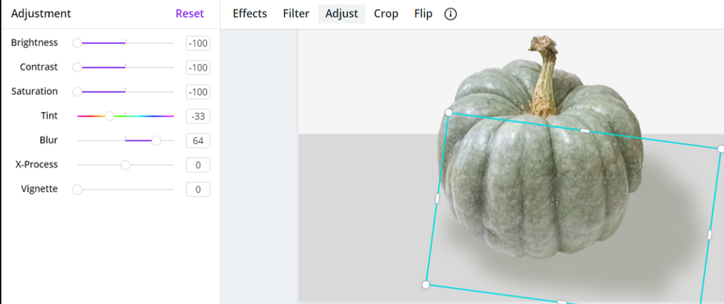 Green Pumpkin on Gray Background to show a method to apply a drop shadow to an image in Canva. 
